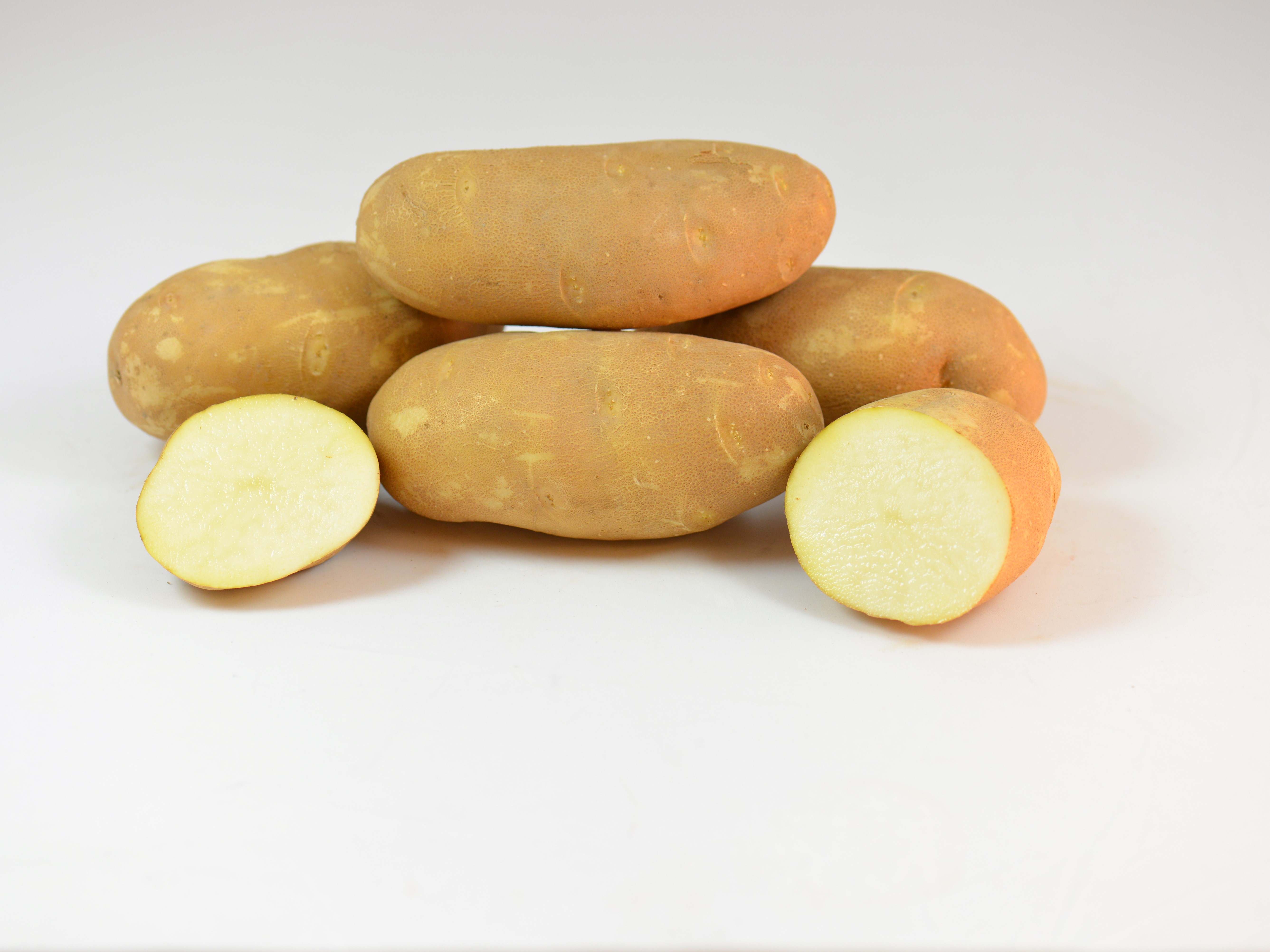 Russet Potato Varieties